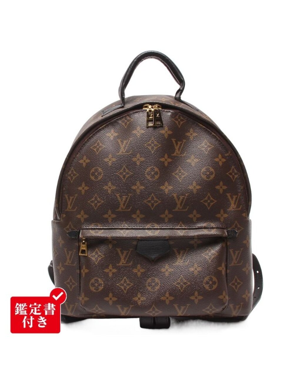 Louis Vuitton Backpack Palm Springs MM Monogram